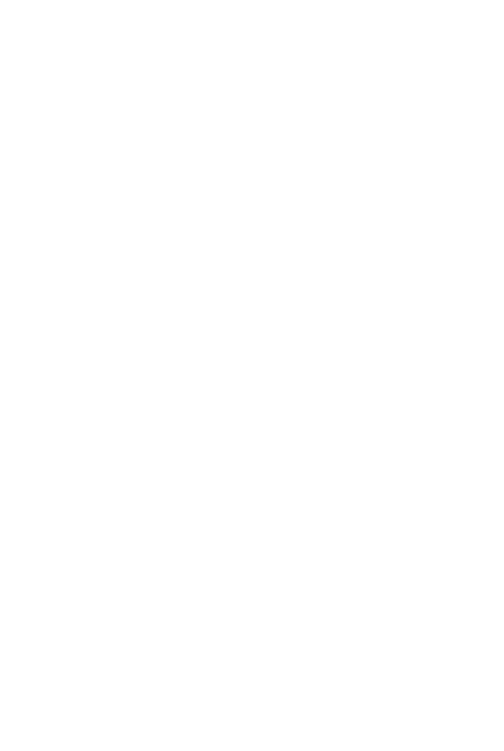 Rise and Fly